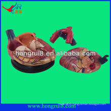 high quality Human medical anatomical heart model for sale new style 4 times enlarged anatomical heart model